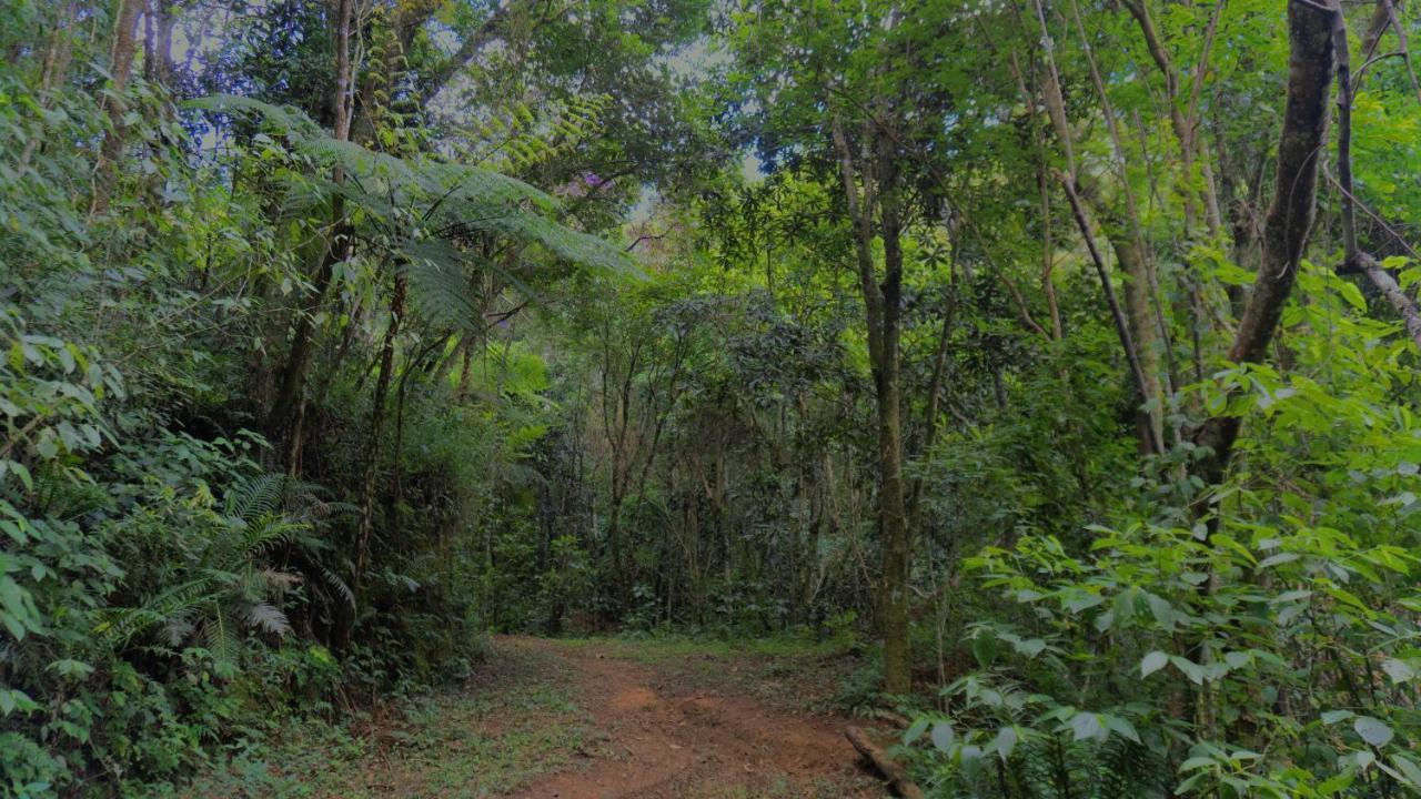 Pousada Alpes Santo Antônio do Pinhal المظهر الخارجي الصورة