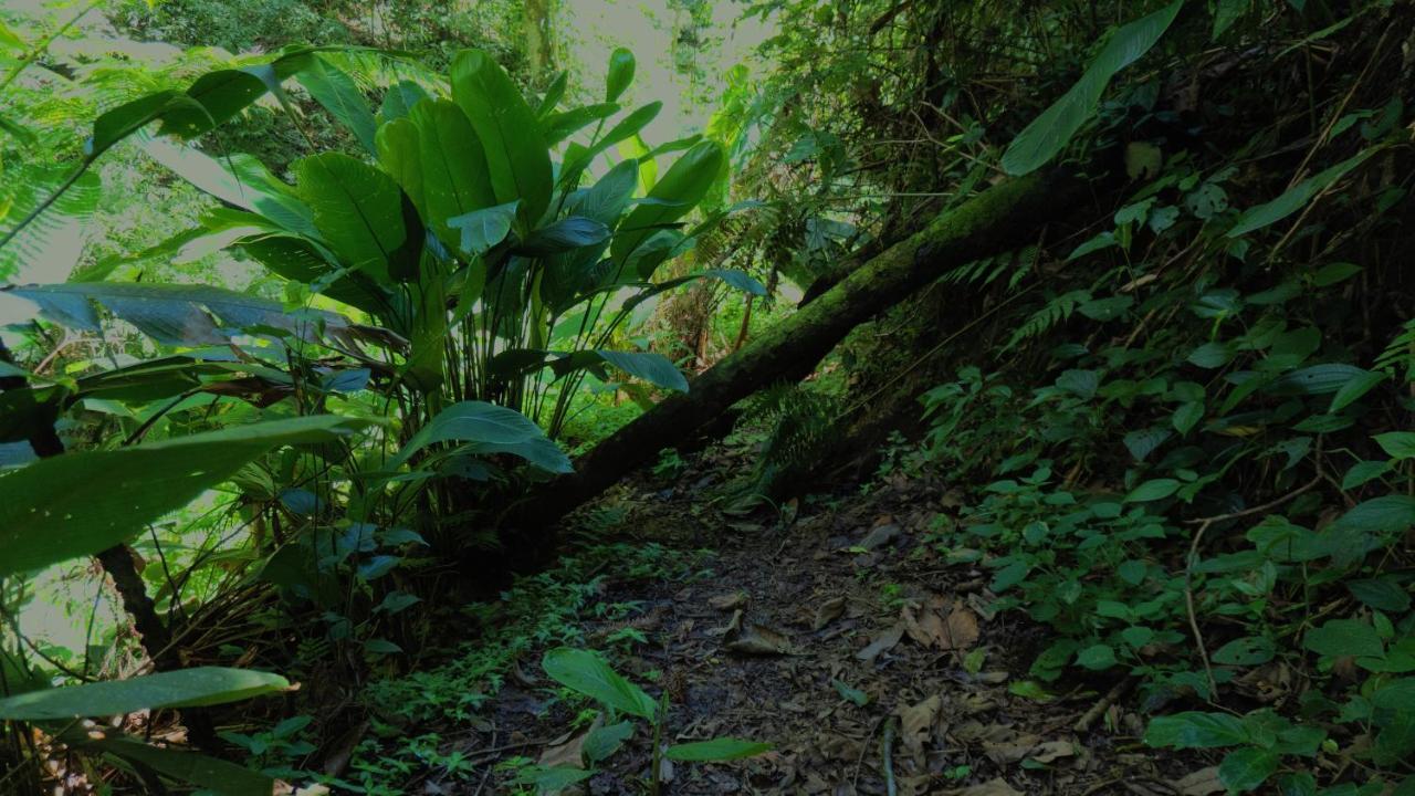 Pousada Alpes Santo Antônio do Pinhal المظهر الخارجي الصورة